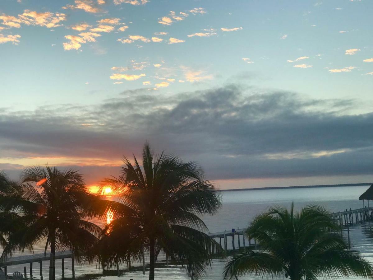 Tilt-Ta-Dock Resort Belize Corozal Kültér fotó